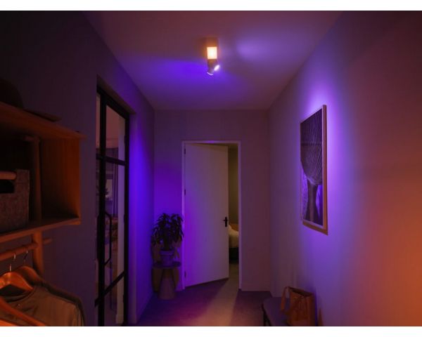 manipular Autor Inmigración Comprar Plafón de dos luces CENTRIS - Philips Hue - Blanco | La Casa de las  Lámparas