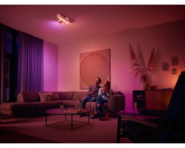 Mando Regulador - Philips Hue