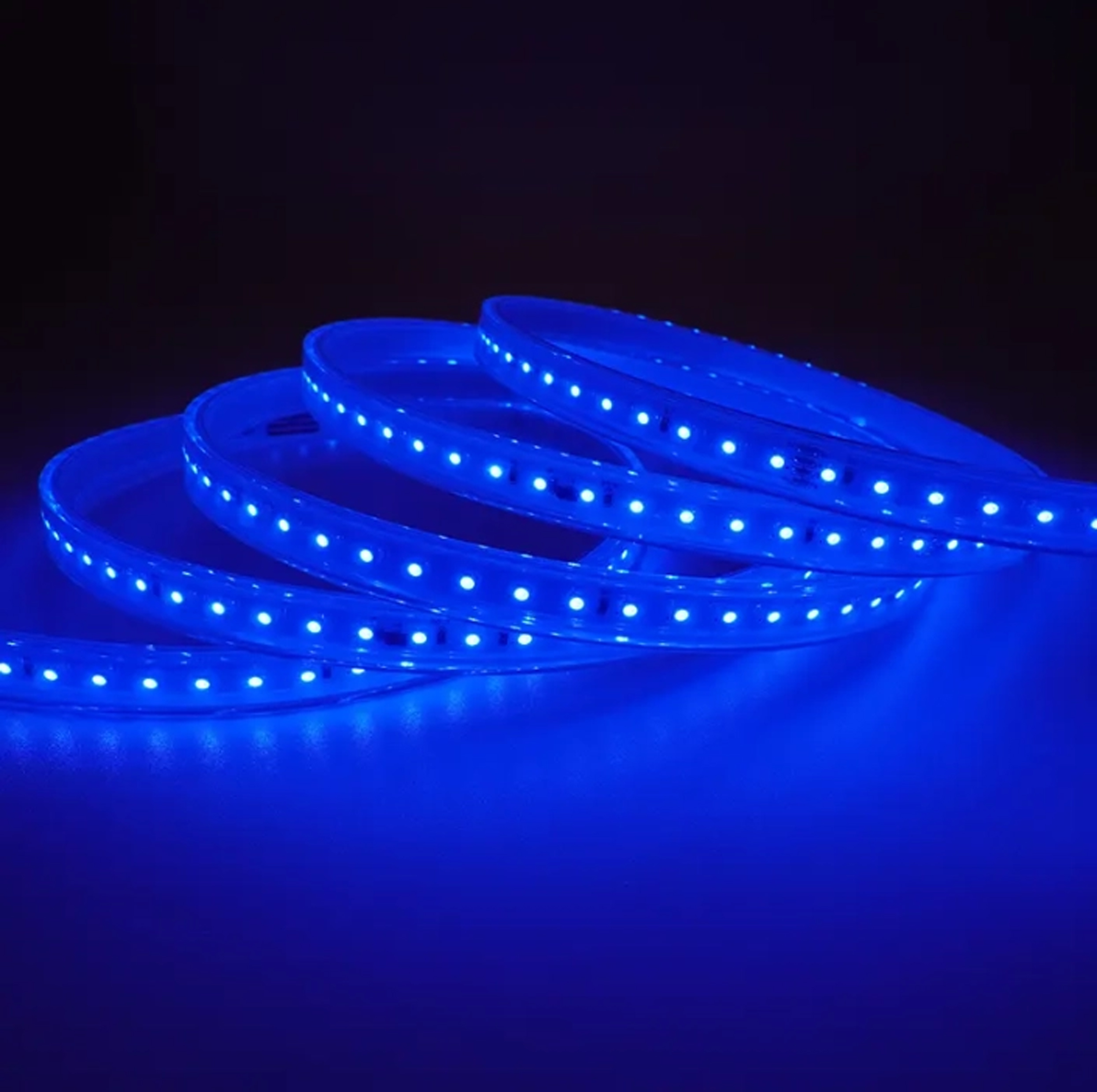 Tira de led directa a 230v. Infinity RGB - 10W/M - IP66 | Luz Negra