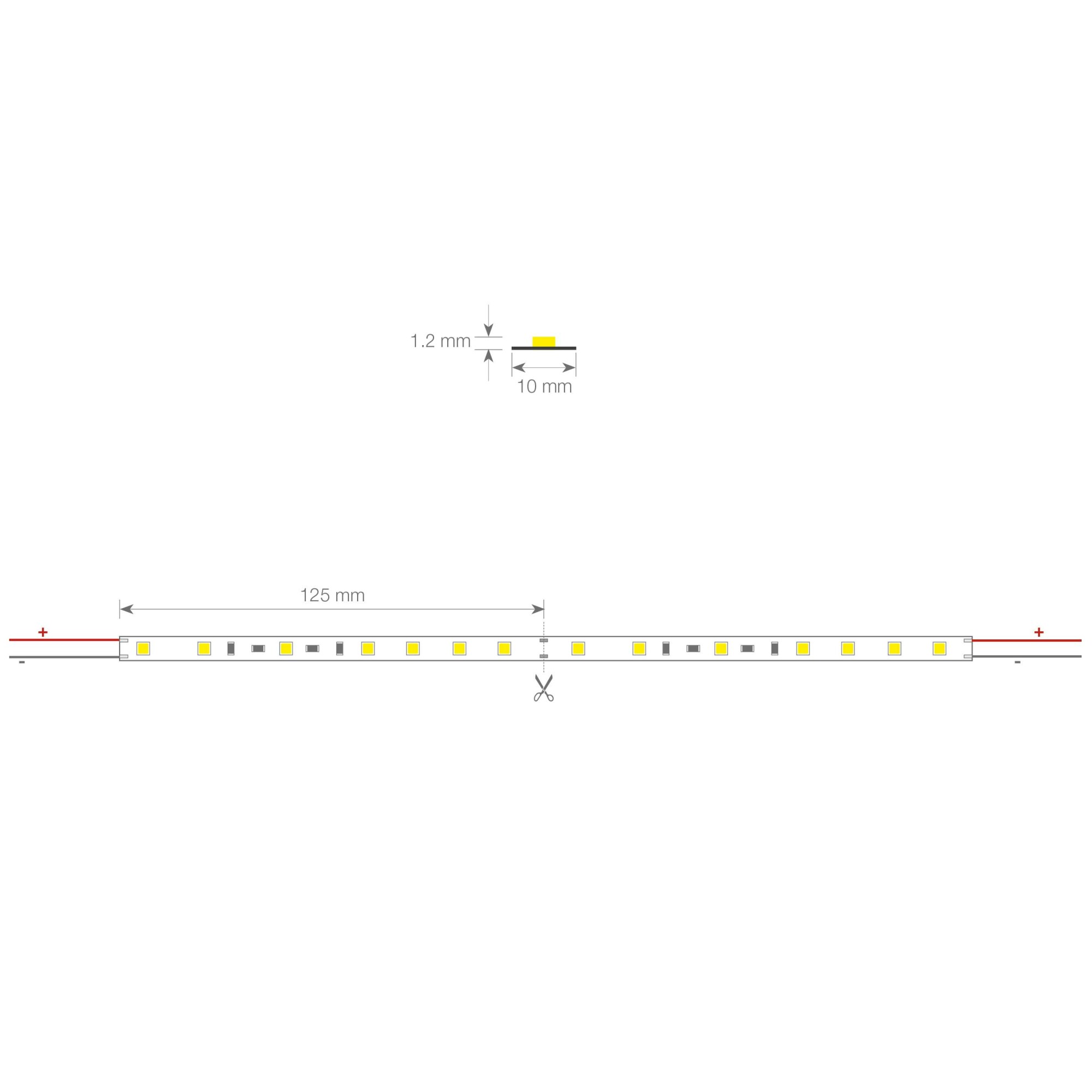 TIRA DE LED FLEXIBLE ECOLED PALMA - 3200K - 24V – 4,8W/M - IP20  (ROLLO DE 5M) | Luz Negra