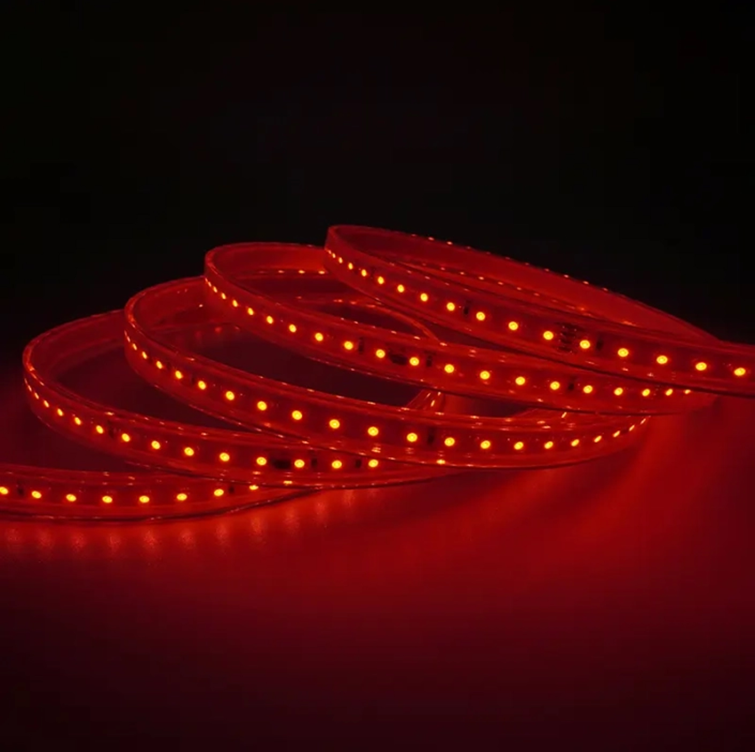 Tira de led directa a 230v. Infinity RGB - 10W/M - IP66 | Luz Negra
