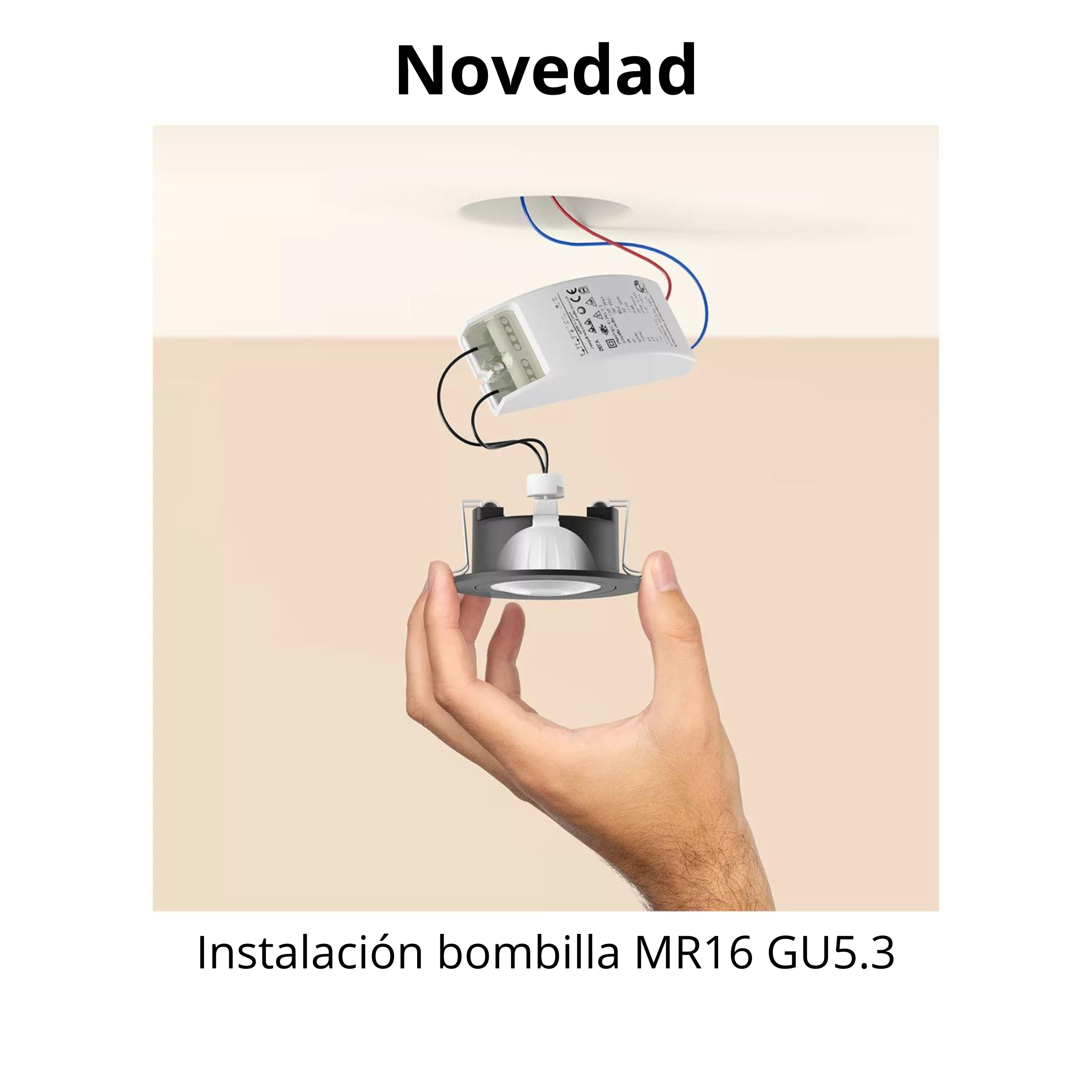 Bombilla White Color Ambiance 12V MR16 pack 2 uds. | Philips Hue 