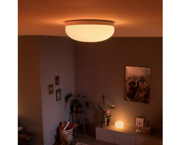 Plafón FLOURISH - Philips Hue