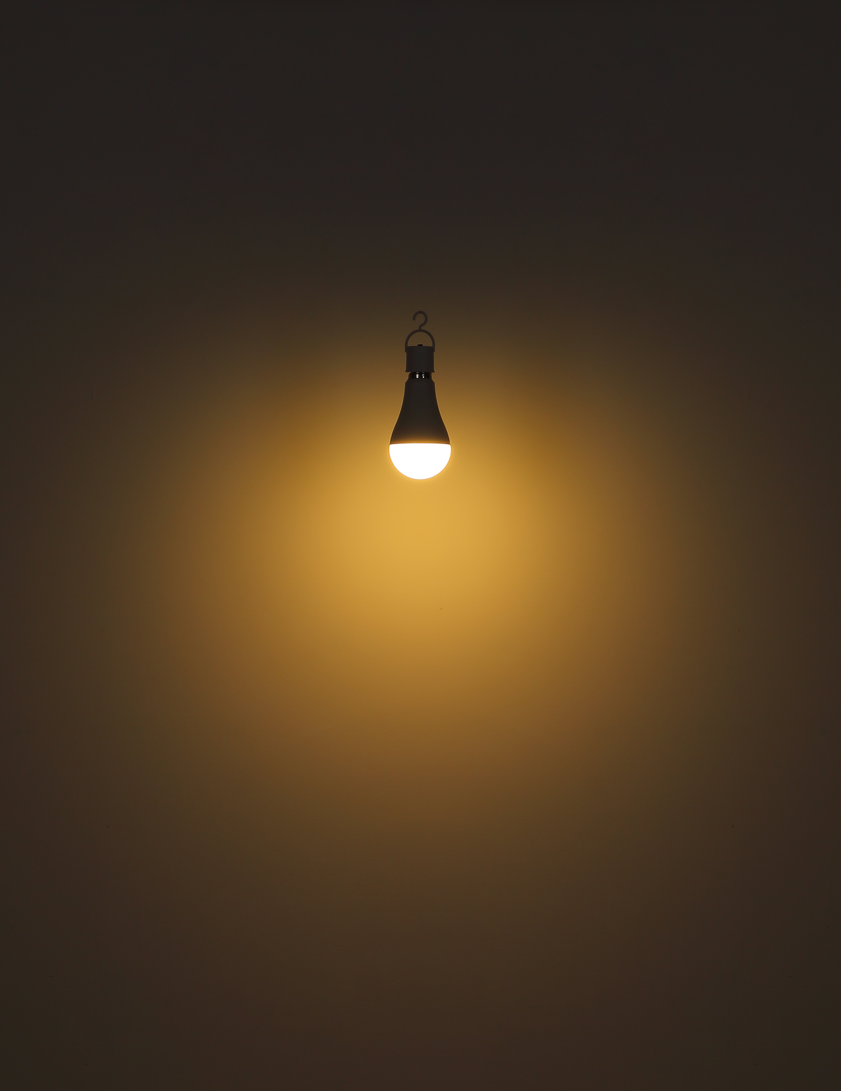 Bombilla LED E27 Recargable con Luz de Emergencia | Globo Lighting