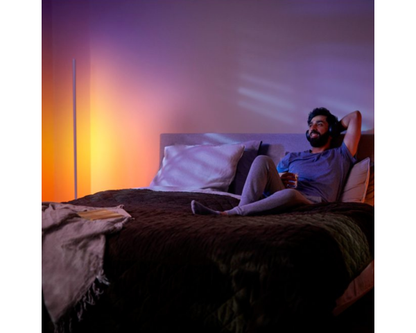 Lámpara de pie SIGNE GRADIENT ROBLE - Philips Hue