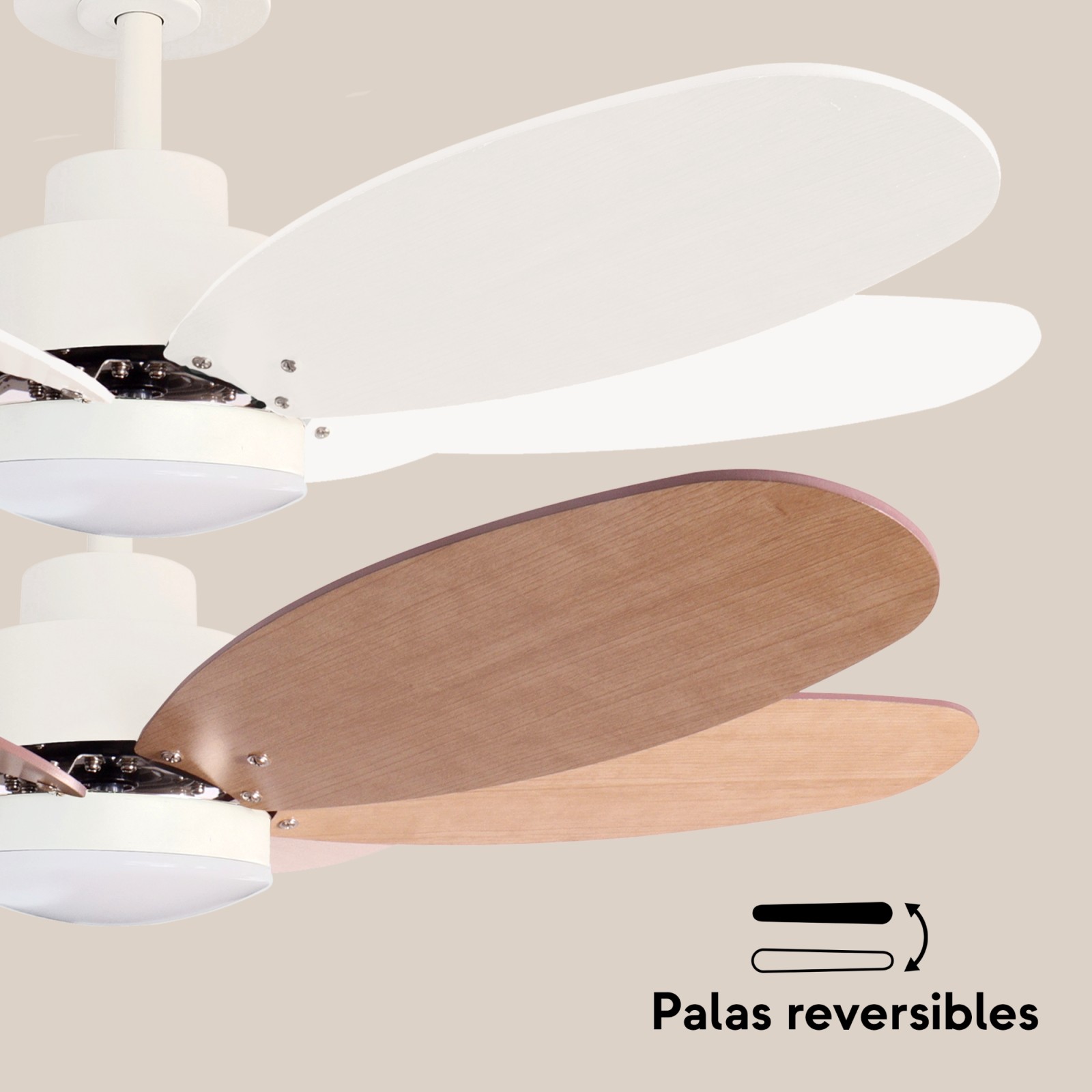 Ventilador RAINBOW M